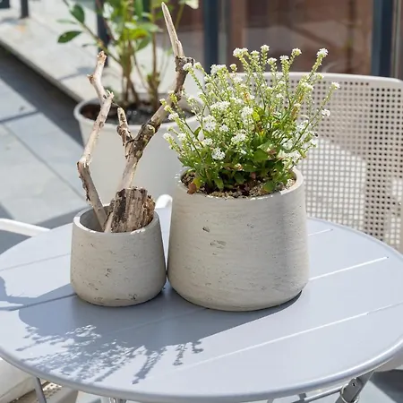 Prezydencki Bulwary Stare No 1 * Stettino